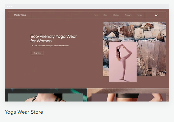 Wix Stores